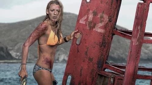 The Shallows's Backdrop Image