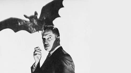 The Bat's Backdrop Image