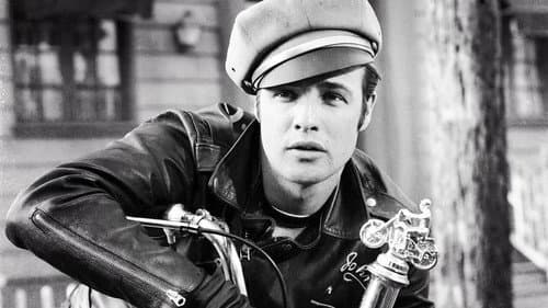The Wild One's Backdrop Image