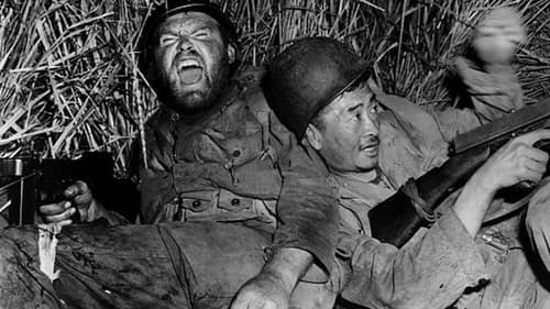 The Steel Helmet's Backdrop Image