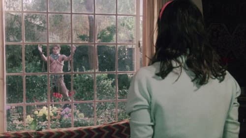 I Never Promised You a Rose Garden's Backdrop Image