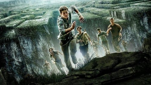 The Maze Runner's Backdrop Image