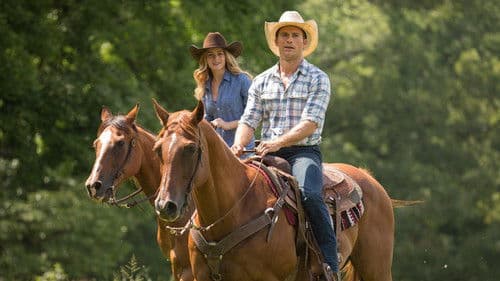 The Longest Ride's Backdrop Image