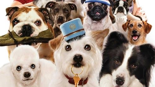 Hotel for Dogs's Backdrop Image