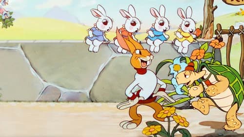 The Tortoise and the Hare's Backdrop Image