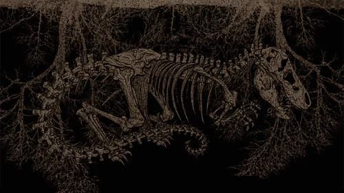 Tyrannosaur's Backdrop Image