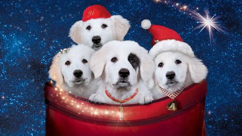 Santa Paws 2: The Santa Pups's Backdrop Image