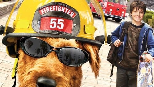 Firehouse Dog's Backdrop Image