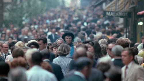 Midnight Cowboy's Backdrop Image