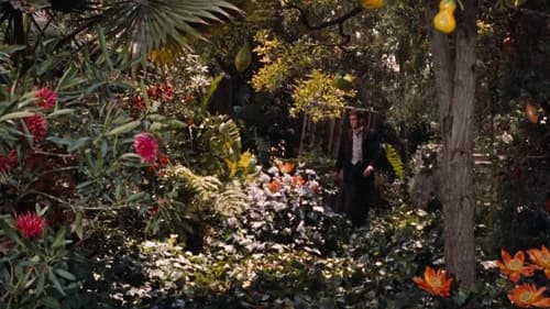The Time Machine's Backdrop Image