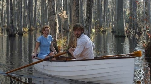 The Notebook's Backdrop Image
