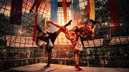 The King of the Kickboxers's Backdrop Image
