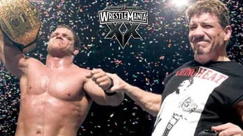WWE WrestleMania XX's Backdrop Image