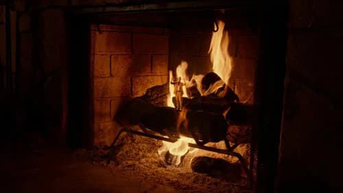 Adult Swim Yule Log's Backdrop Image