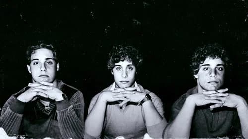 Three Identical Strangers's Backdrop Image