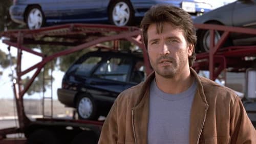 The Perfect Weapon's Backdrop Image