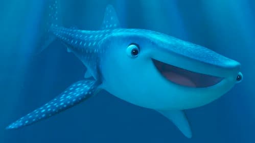 Marine Life Interviews's Backdrop Image