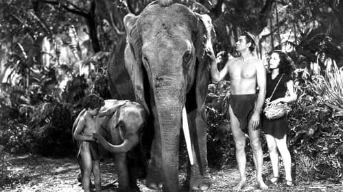 Tarzan Finds a Son!'s Backdrop Image