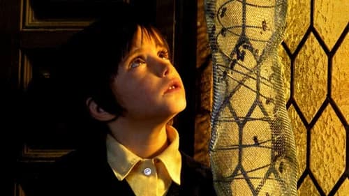 The Spirit of the Beehive's Backdrop Image