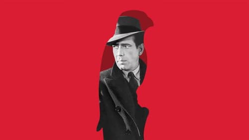 The Maltese Falcon's Backdrop Image