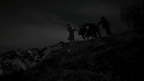 The Young and the Damned's Backdrop Image