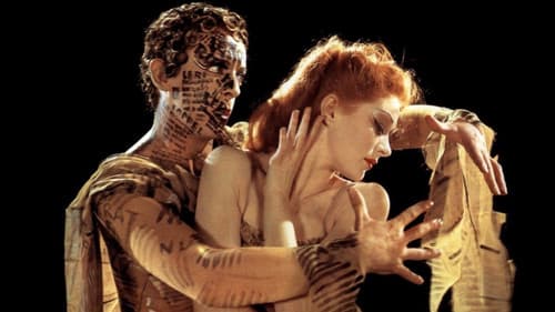 The Red Shoes's Backdrop Image
