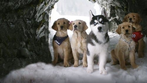 Snow Buddies's Backdrop Image