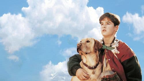 Far from Home: The Adventures of Yellow Dog's Backdrop Image