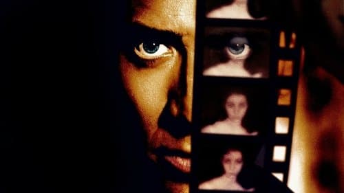8MM's Backdrop Image