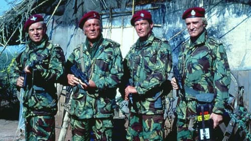 The Wild Geese's Backdrop Image