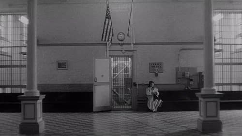 The Honeymoon Killers's Backdrop Image