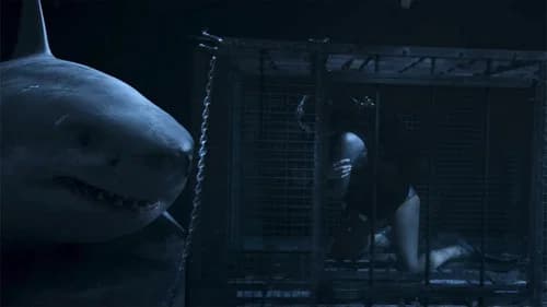Above & Below's Backdrop Image