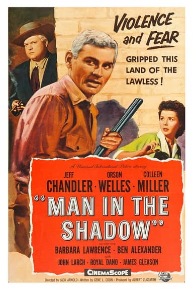 Man in the Shadow poster