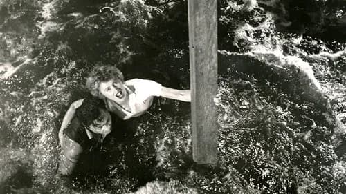 Jeopardy's Backdrop Image