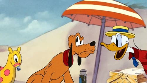 Beach Picnic's Backdrop Image