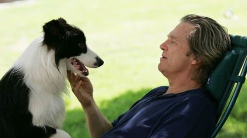 A Dog Year's Backdrop Image