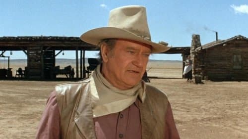 The Cowboys's Backdrop Image