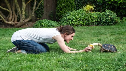 Laggies's Backdrop Image