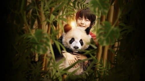 Moon the Panda's Backdrop Image