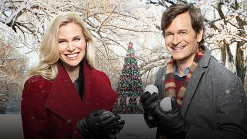 Christmas Connection's Backdrop Image