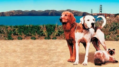 Homeward Bound II: Lost in San Francisco's Backdrop Image