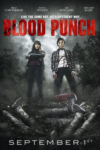 Blood Punch poster