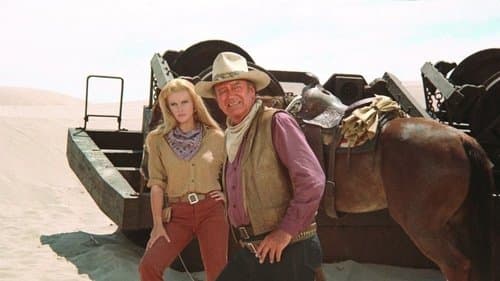 The Train Robbers's Backdrop Image