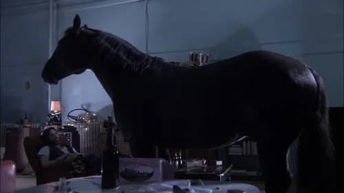 High Life's Backdrop Image
