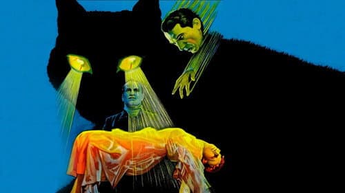 The Black Cat's Backdrop Image