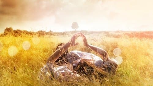 The History of Love's Backdrop Image