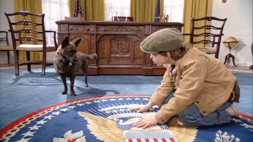 First Dog's Backdrop Image