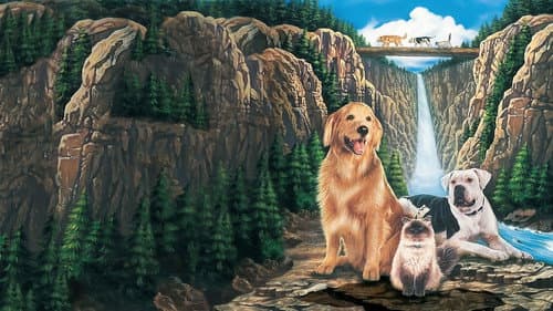 Homeward Bound: The Incredible Journey's Backdrop Image