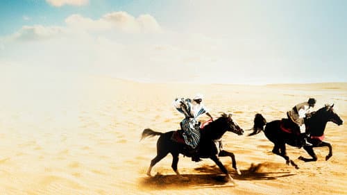 The Black Stallion Returns's Backdrop Image