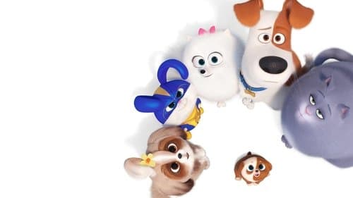 The Secret Life of Pets 2's Backdrop Image